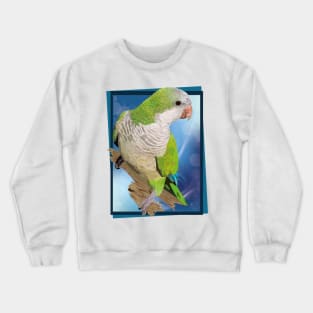 Argentine parrot Crewneck Sweatshirt